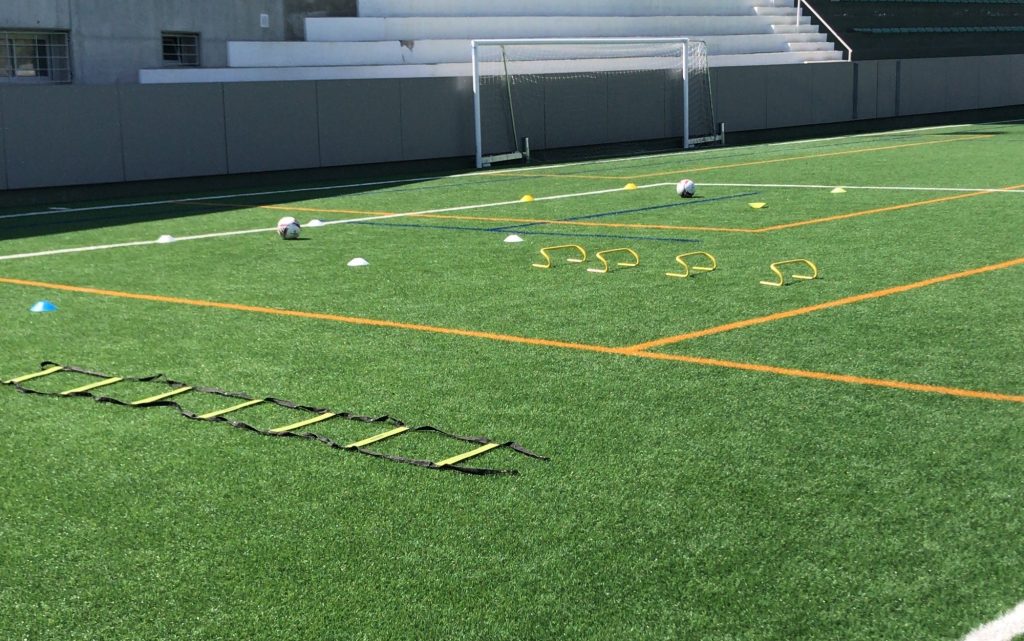 Trabajo Específico de Finalización (TEM1)